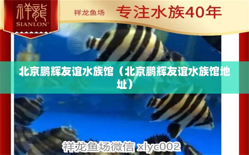 北京鹏辉友谊水族馆（北京鹏辉友谊水族馆地址） 全国水族馆企业名录