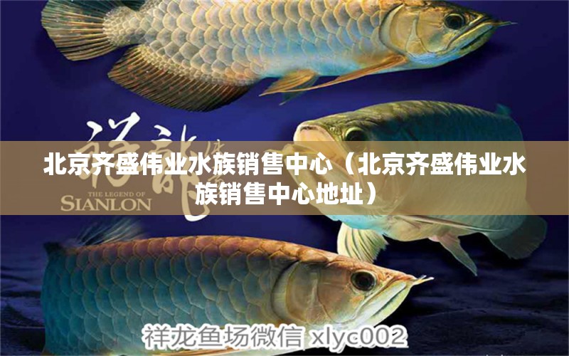 北京齐盛伟业水族销售中心（北京齐盛伟业水族销售中心地址）