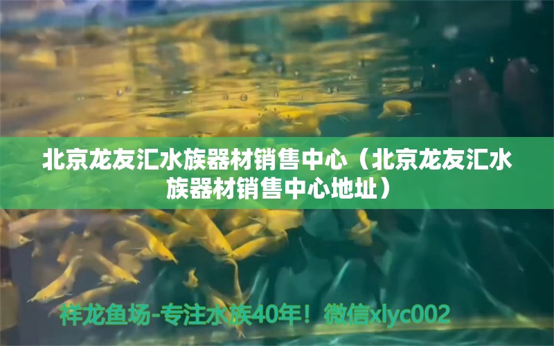 北京龙友汇水族器材销售中心（北京龙友汇水族器材销售中心地址） 全国水族馆企业名录