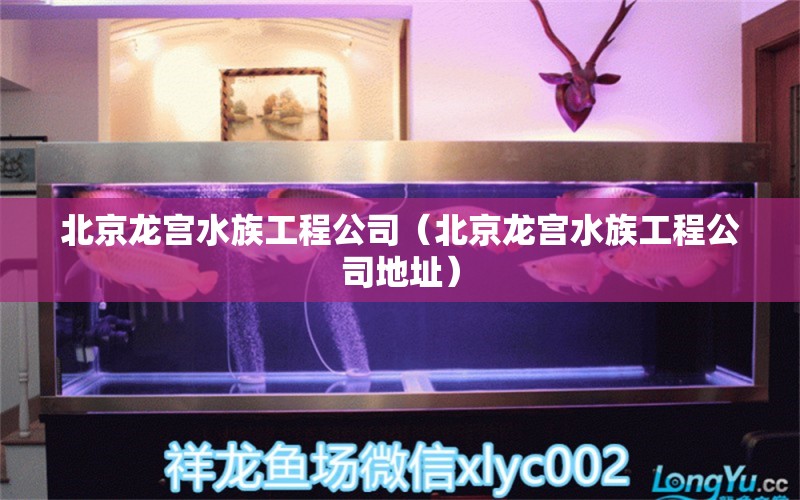 北京龙宫水族工程公司（北京龙宫水族工程公司地址） 全国水族馆企业名录