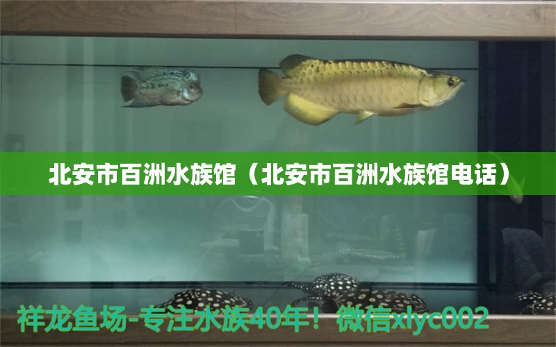 北安市百洲水族馆（北安市百洲水族馆电话）