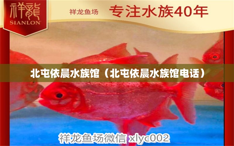 北屯依晨水族馆（北屯依晨水族馆电话） 全国水族馆企业名录