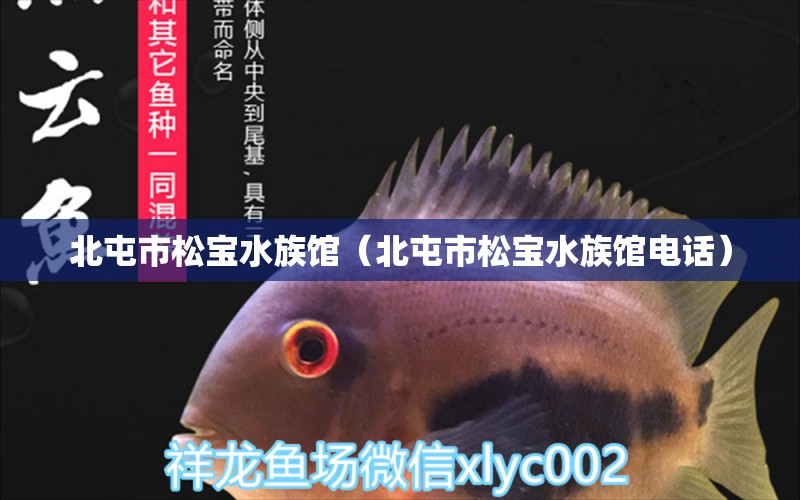 北屯市松宝水族馆（北屯市松宝水族馆电话） 全国水族馆企业名录