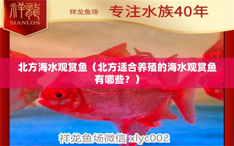 北方海水观赏鱼（北方适合养殖的海水观赏鱼有哪些？）