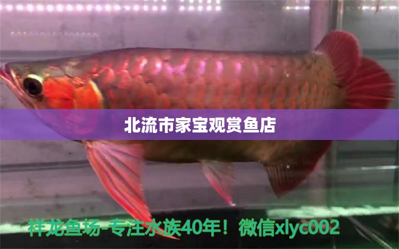 北流市家宝观赏鱼店 全国水族馆企业名录