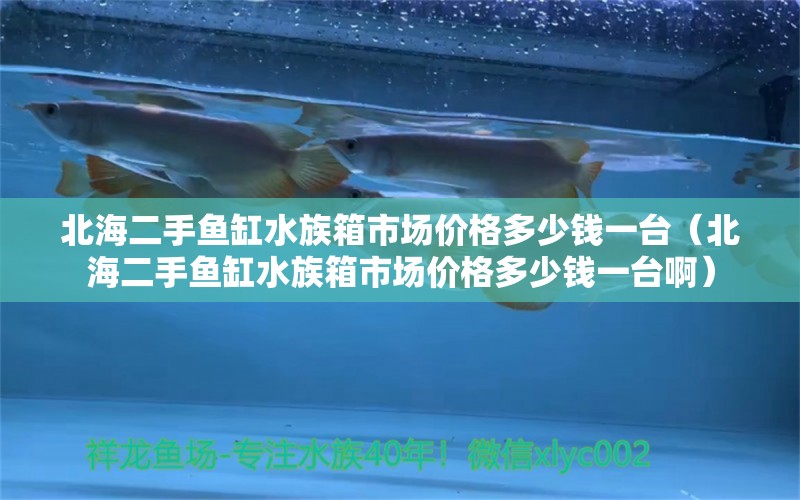 北海二手鱼缸水族箱市场价格多少钱一台（北海二手鱼缸水族箱市场价格多少钱一台啊）