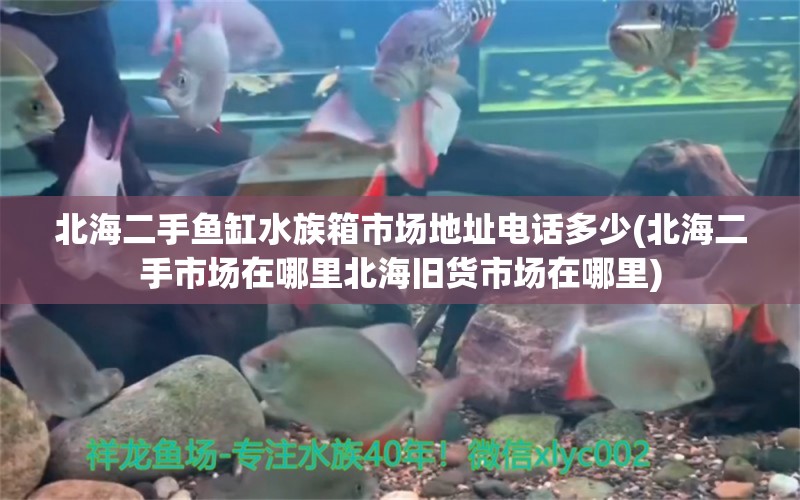 北海二手鱼缸水族箱市场地址电话多少(北海二手市场在哪里北海旧货市场在哪里)