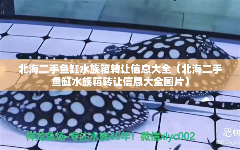 北海二手鱼缸水族箱转让信息大全（北海二手鱼缸水族箱转让信息大全图片）