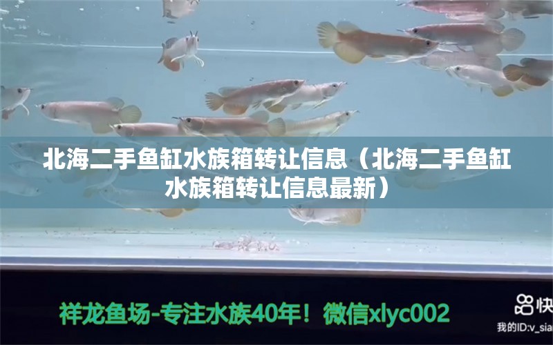 北海二手鱼缸水族箱转让信息（北海二手鱼缸水族箱转让信息最新）