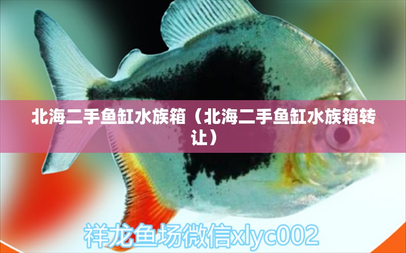 北海二手鱼缸水族箱（北海二手鱼缸水族箱转让） 鱼缸/水族箱