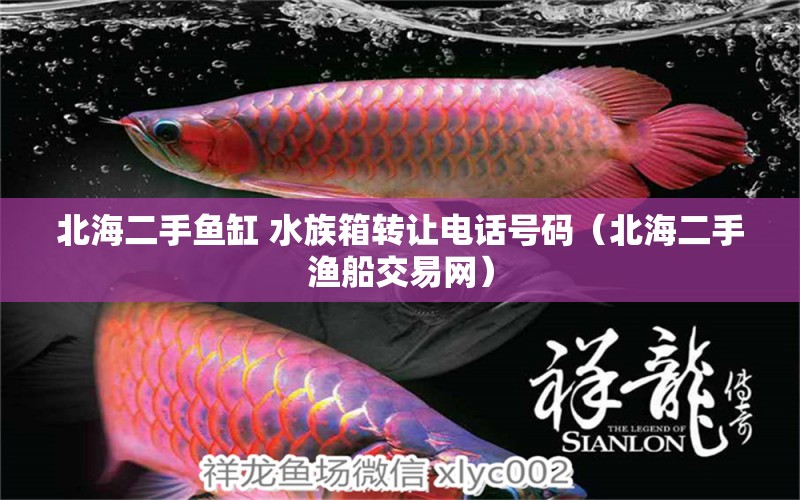 北海二手鱼缸 水族箱转让电话号码（北海二手渔船交易网） 观赏鱼批发