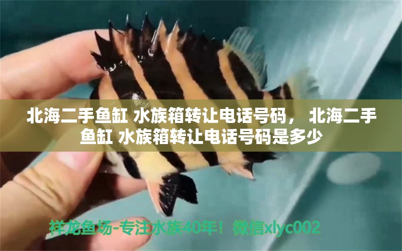 北海二手鱼缸 水族箱转让电话号码， 北海二手鱼缸 水族箱转让电话号码是多少