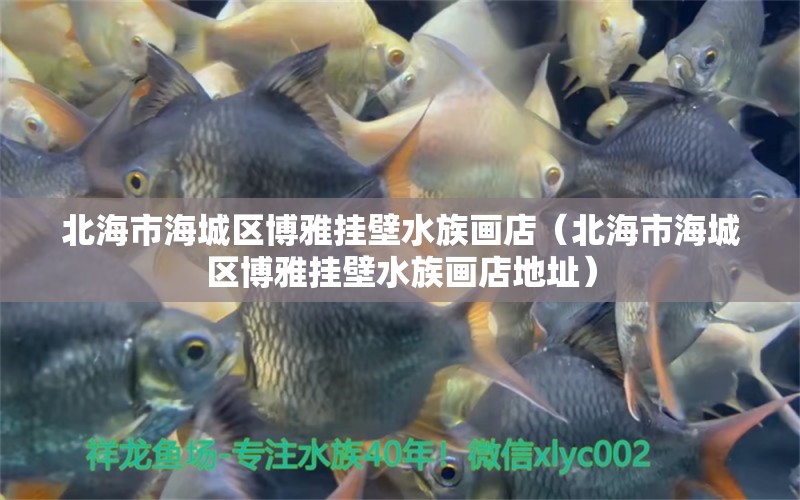 北海市海城区博雅挂壁水族画店（北海市海城区博雅挂壁水族画店地址） 全国水族馆企业名录