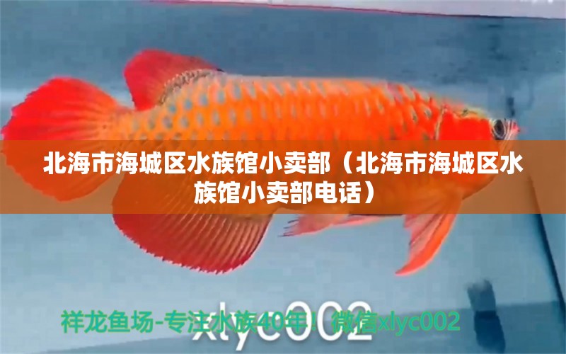 北海市海城区水族馆小卖部（北海市海城区水族馆小卖部电话） 全国水族馆企业名录