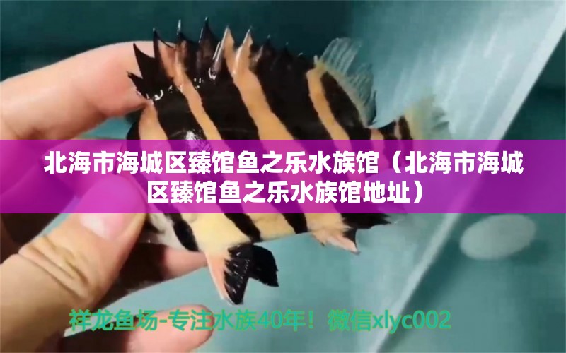 北海市海城区臻馆鱼之乐水族馆（北海市海城区臻馆鱼之乐水族馆地址）