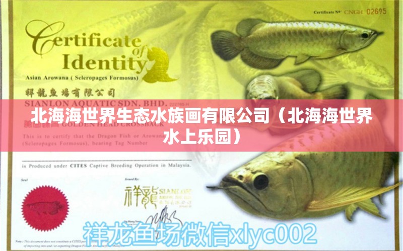 北海海世界生态水族画有限公司（北海海世界水上乐园）