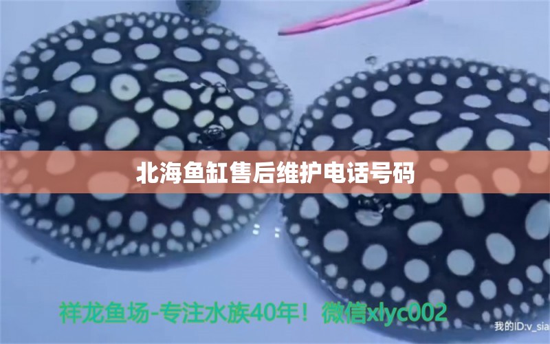 北海鱼缸售后维护电话号码 其他品牌鱼缸