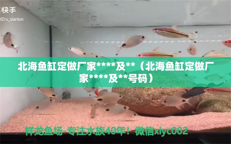 北海鱼缸定做厂家****及**（北海鱼缸定做厂家****及**号码） 彩鲽鱼缸（彩蝶鱼缸）