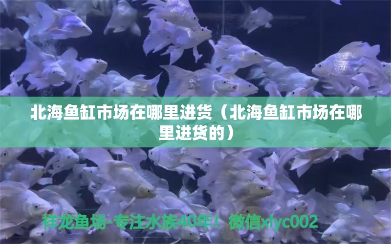 北海鱼缸市场在哪里进货（北海鱼缸市场在哪里进货的） 其他品牌鱼缸