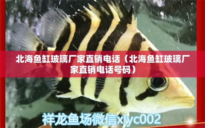 北海鱼缸玻璃厂家直销电话（北海鱼缸玻璃厂家直销电话号码）