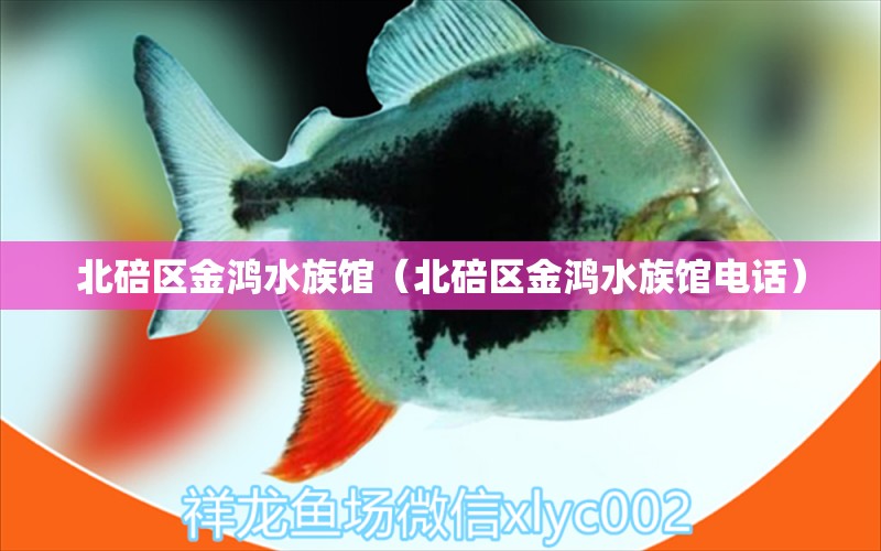 北碚区金鸿水族馆（北碚区金鸿水族馆电话） 全国水族馆企业名录