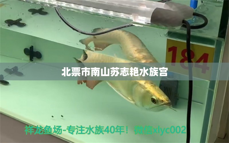 北票市南山苏志艳水族宫