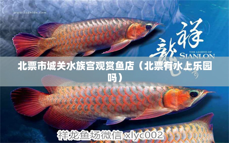 北票市城关水族宫观赏鱼店（北票有水上乐园吗）