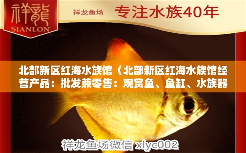 北部新区红海水族馆（北部新区红海水族馆经营产品：批发兼零售：观赏鱼、鱼缸、水族器材）