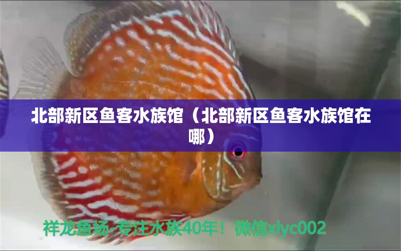 北部新区鱼客水族馆（北部新区鱼客水族馆在哪） 全国水族馆企业名录