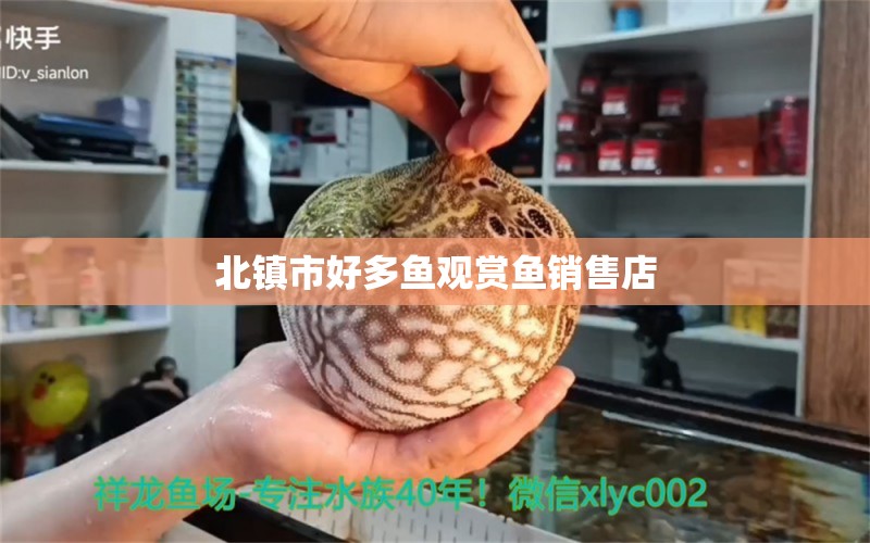 北镇市好多鱼观赏鱼销售店 全国水族馆企业名录