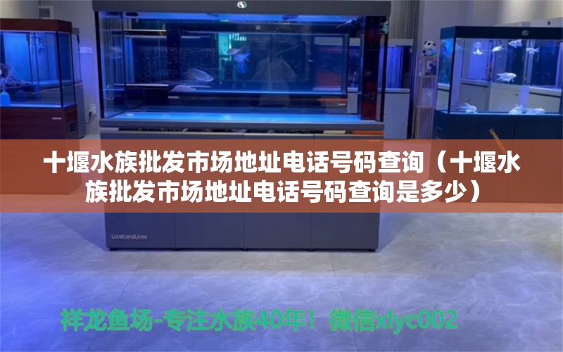 十堰水族批发市场地址电话号码查询（十堰水族批发市场地址电话号码查询是多少）