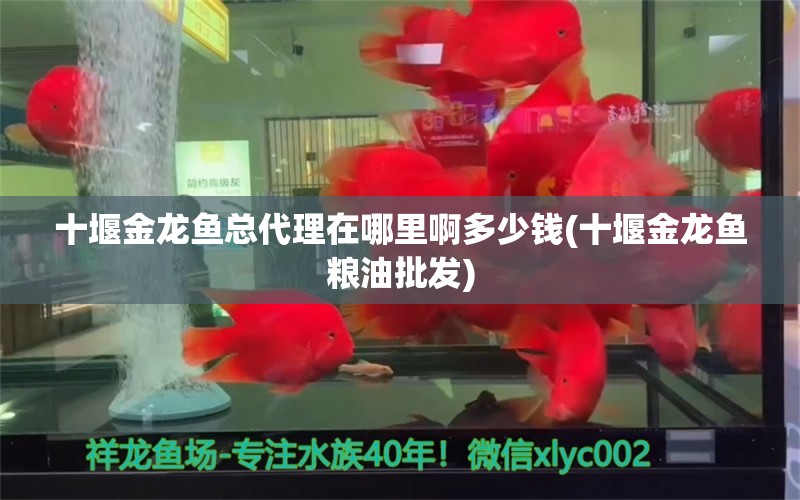 十堰金龙鱼总代理在哪里啊多少钱(十堰金龙鱼粮油批发) 金龙鱼粮