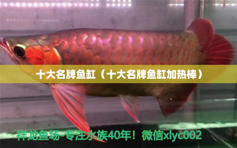 十大名牌鱼缸（十大名牌鱼缸加热棒） iwish爱唯希品牌鱼缸