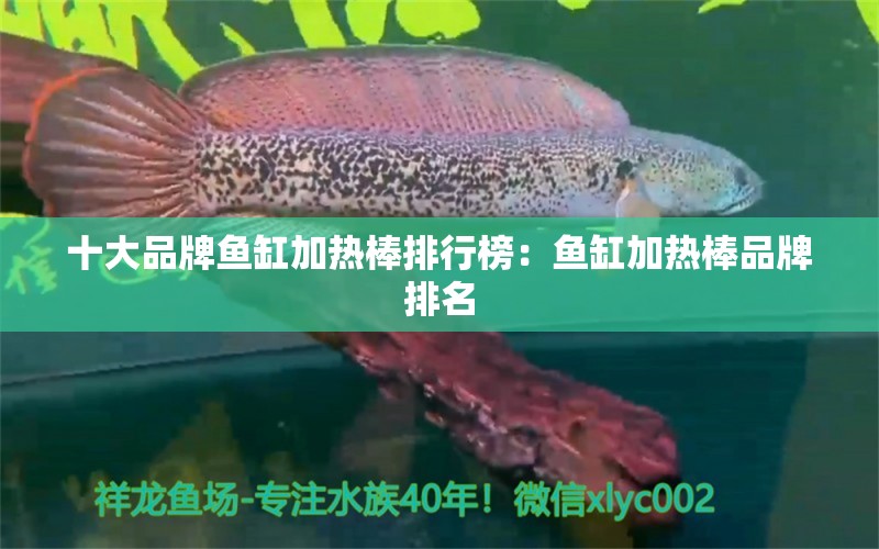 十大品牌鱼缸加热棒排行榜：鱼缸加热棒品牌排名