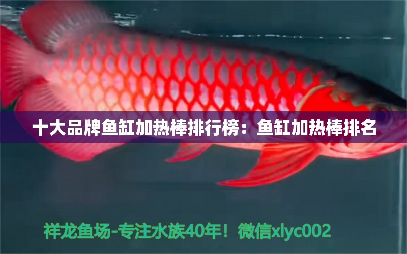 十大品牌鱼缸加热棒排行榜：鱼缸加热棒排名 广州龙鱼批发市场