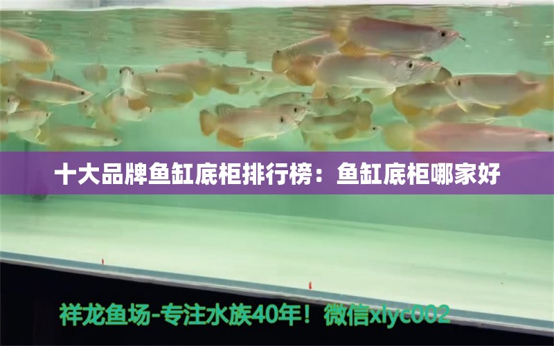 十大品牌鱼缸底柜排行榜：鱼缸底柜哪家好