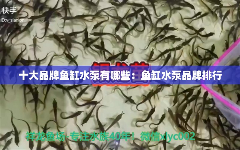 十大品牌鱼缸水泵有哪些：鱼缸水泵品牌排行