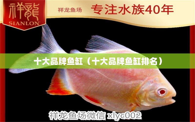 十大品牌鱼缸（十大品牌鱼缸排名） 广州龙鱼批发市场