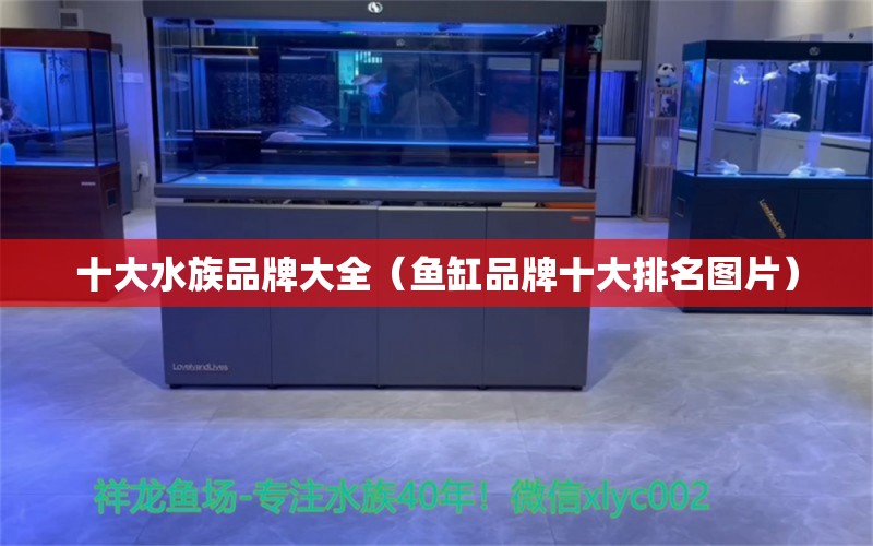 十大水族品牌大全（鱼缸品牌十大排名图片） 水族品牌