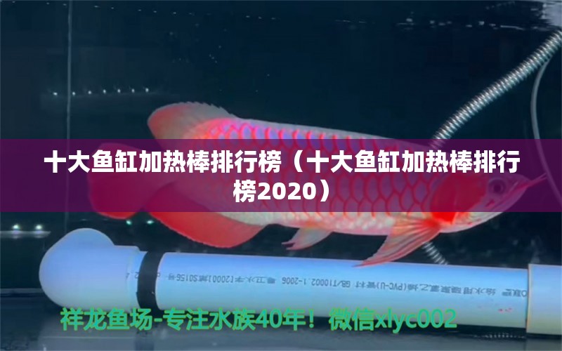 十大鱼缸加热棒排行榜（十大鱼缸加热棒排行榜2020）