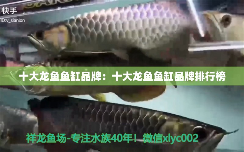 十大龙鱼鱼缸品牌：十大龙鱼鱼缸品牌排行榜 广州龙鱼批发市场