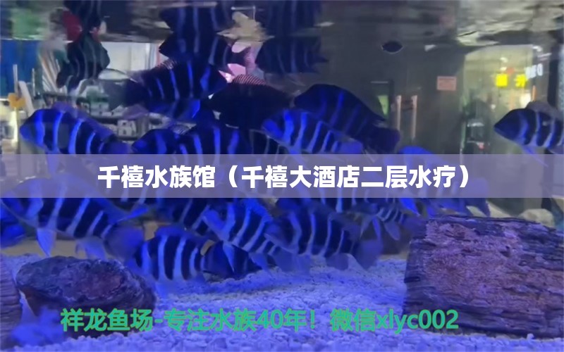 千禧水族馆（千禧大酒店二层水疗） 全国水族馆企业名录