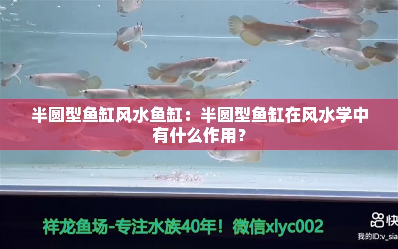 半圆型鱼缸风水鱼缸：半圆型鱼缸在风水学中有什么作用？