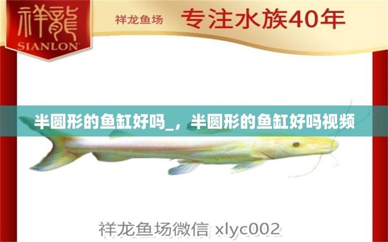 半圆形的鱼缸好吗_，半圆形的鱼缸好吗视频 水族用品