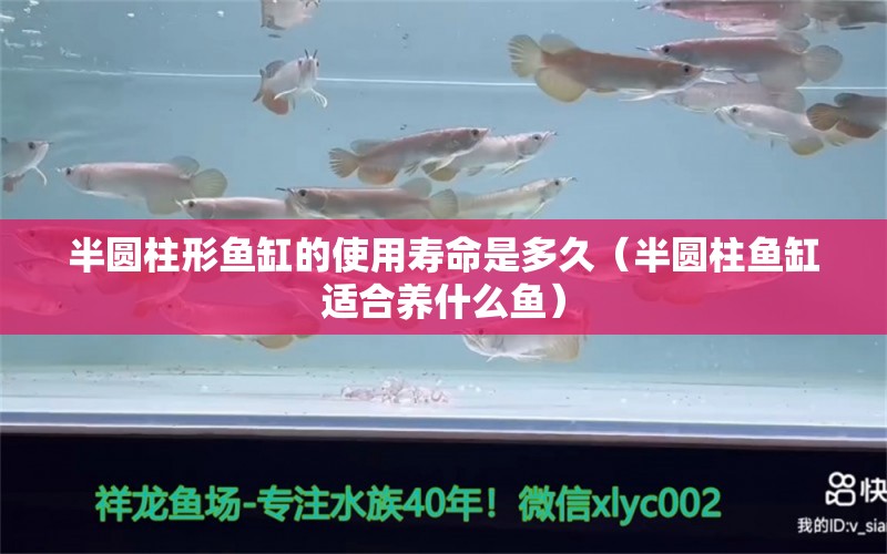 半圆柱形鱼缸的使用寿命是多久（半圆柱鱼缸适合养什么鱼）