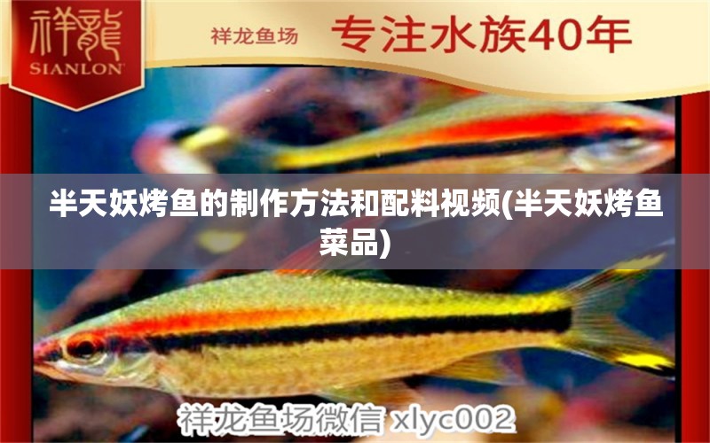 半天妖烤鱼的制作方法和配料视频(半天妖烤鱼菜品) 祥龙水族医院