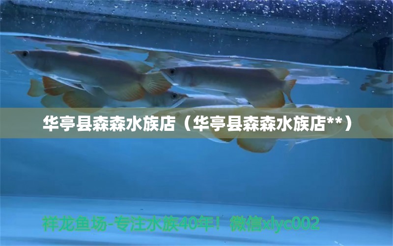 华亭县森森水族店（华亭县森森水族店**）