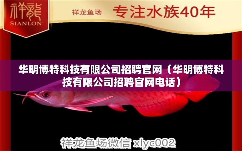 华明博特科技有限公司招聘官网（华明博特科技有限公司招聘官网电话）