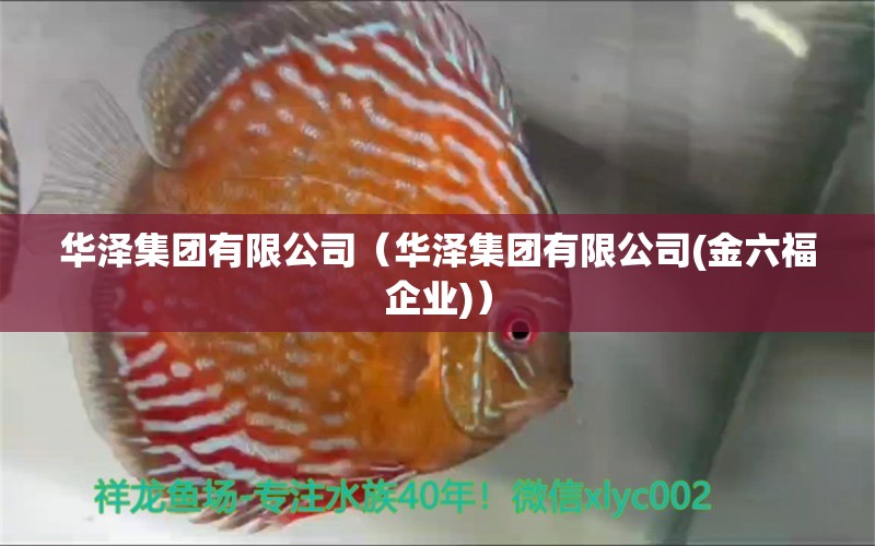 华泽集团有限公司（华泽集团有限公司(金六福企业)）