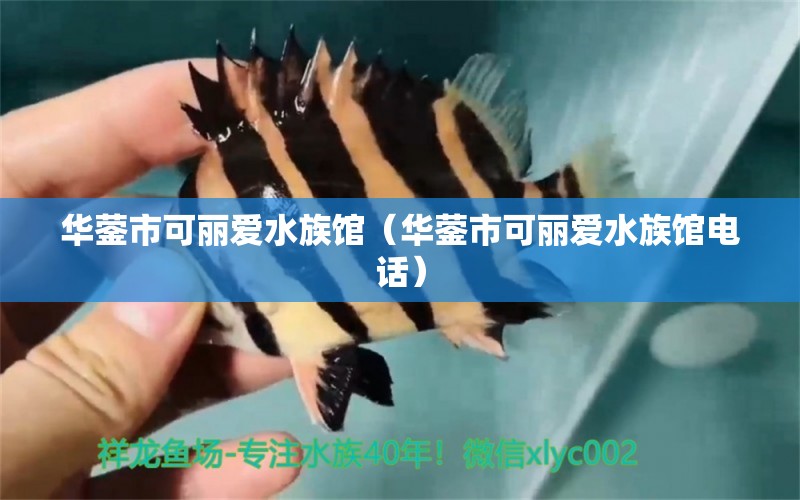 华蓥市可丽爱水族馆（华蓥市可丽爱水族馆电话）